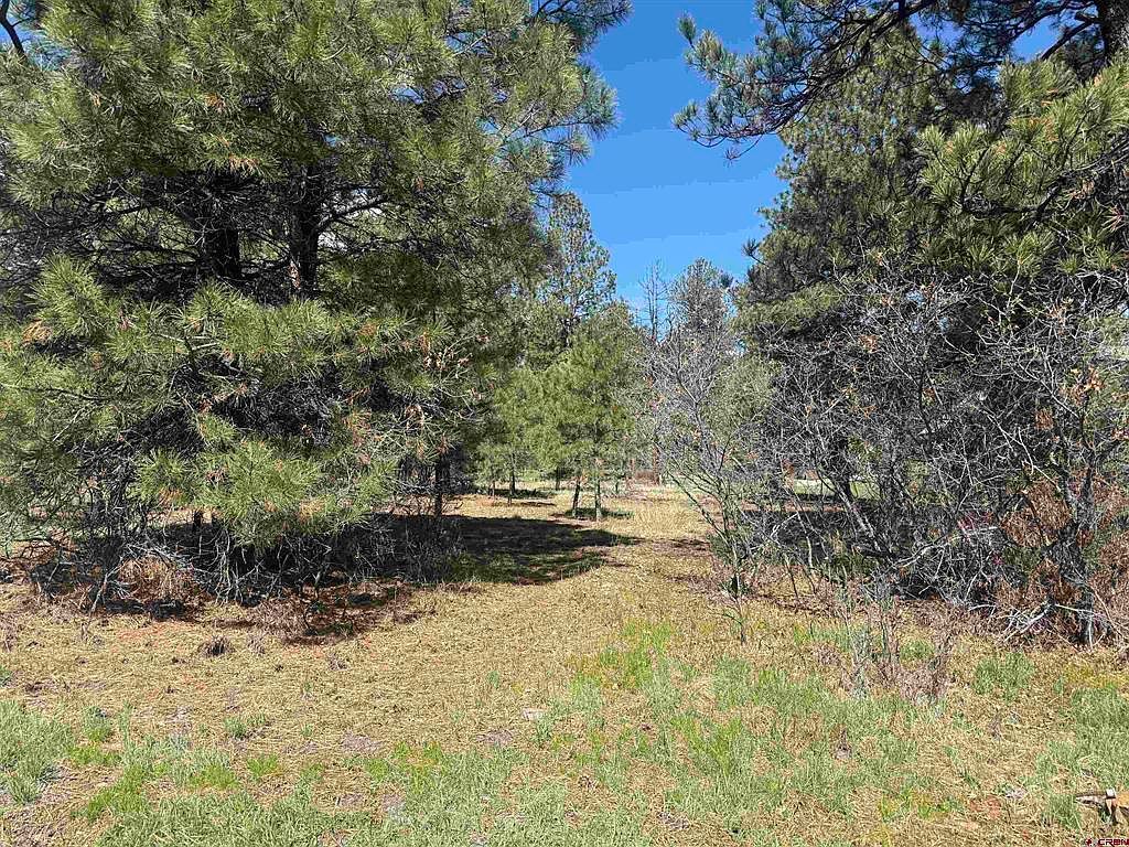 33 Granite Ct Pagosa Springs, CO 81147  | Land/Lot