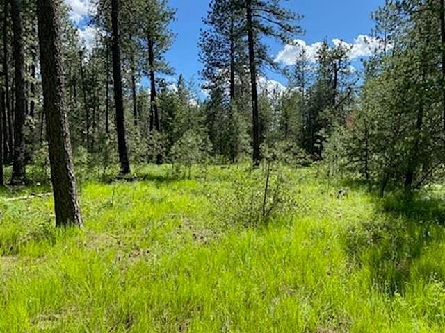 Xx W Montgomery Rd LOT C Deer Park, WA 99006 - Thumbnail 2