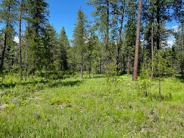 Xx W Montgomery Rd LOT A Deer Park, WA 99006 - Thumbnail 2