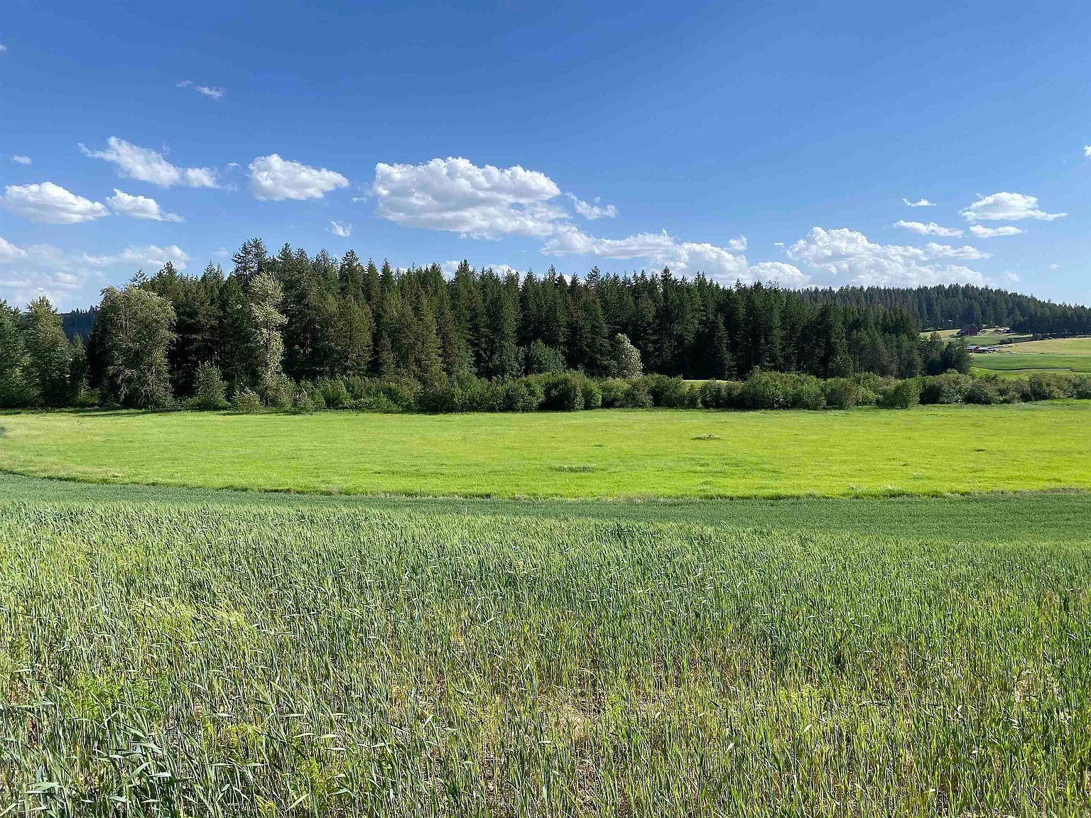 8818 E Little Deep Creek Rd Colbert, WA 99005 - Thumbnail 2