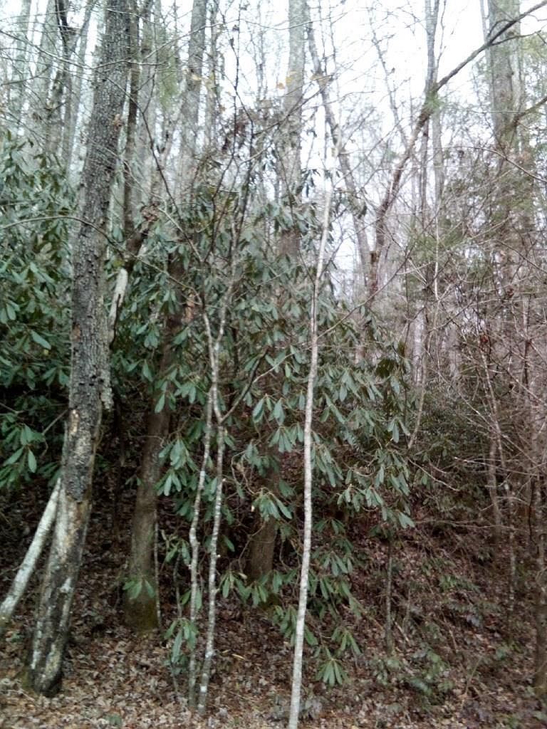 0 Davis Crossing Dr Murphy, NC 28906 - Thumbnail 2