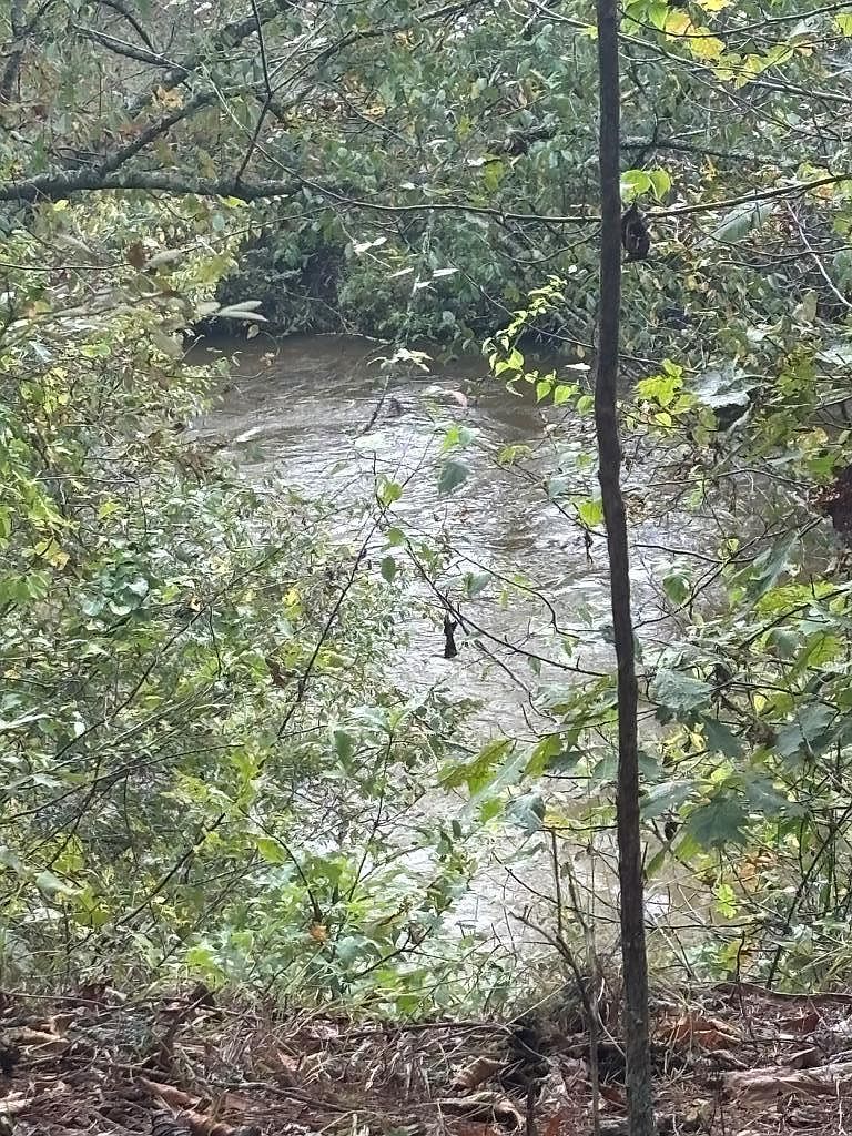 0 Beaver Ridge Rd Murphy, NC 28906 - Thumbnail 2