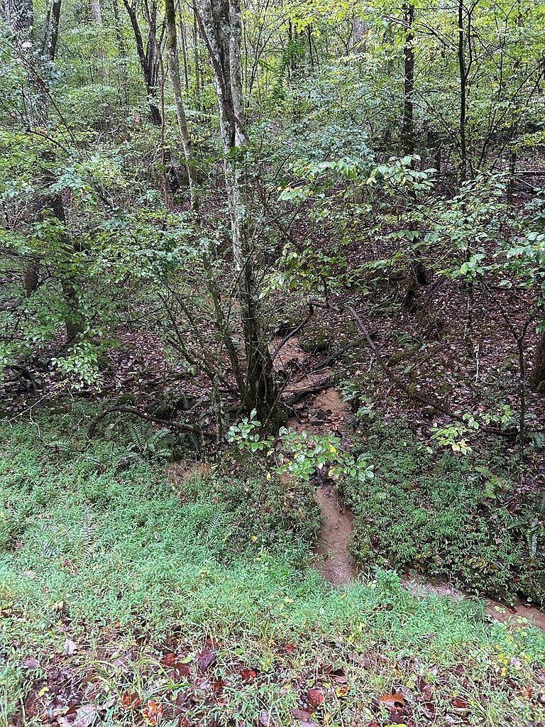 0 Johnsonville Rd Murphy, NC 28906 - Thumbnail 2