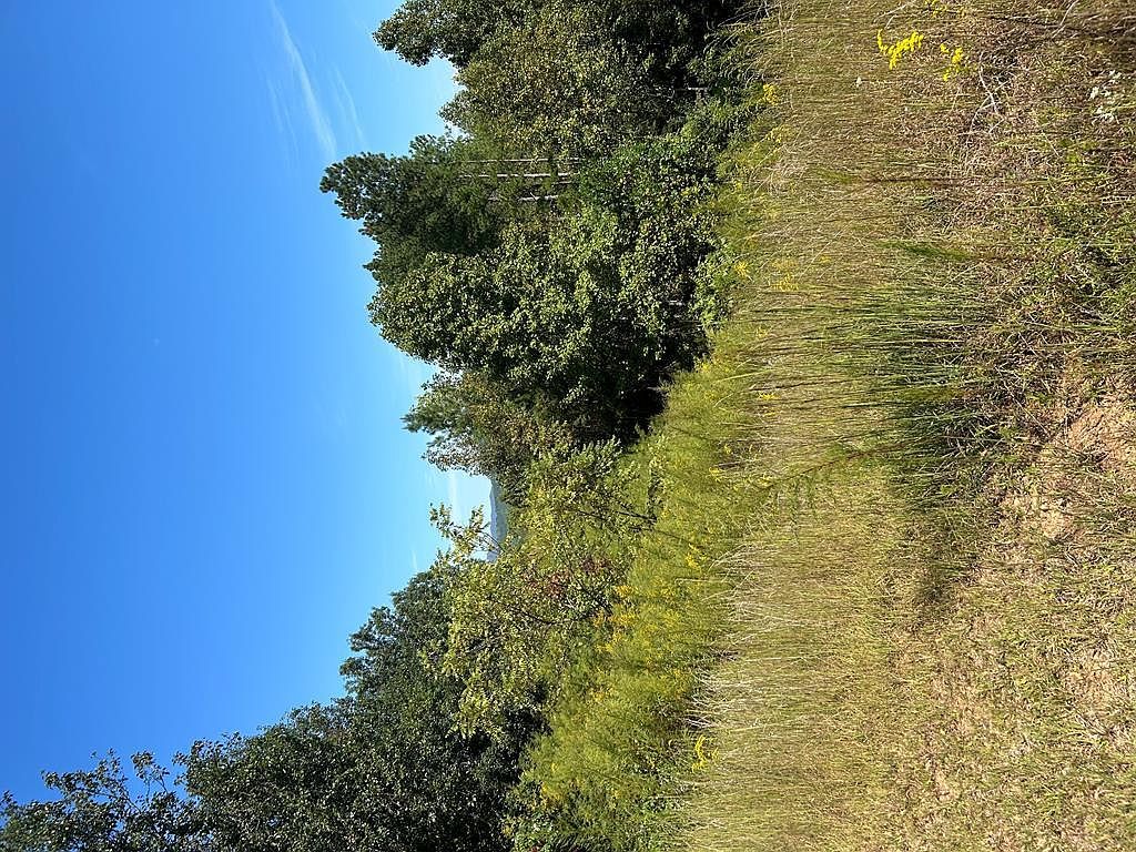 24 My Easy St Murphy, NC 28906 - Thumbnail 2