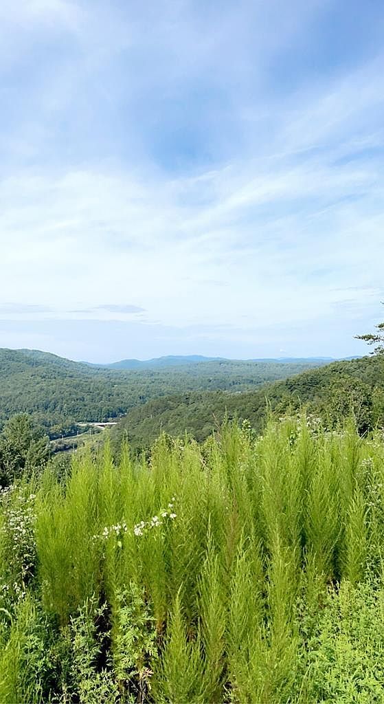 380 Sterling Point Murphy, NC 28906 - Thumbnail 2