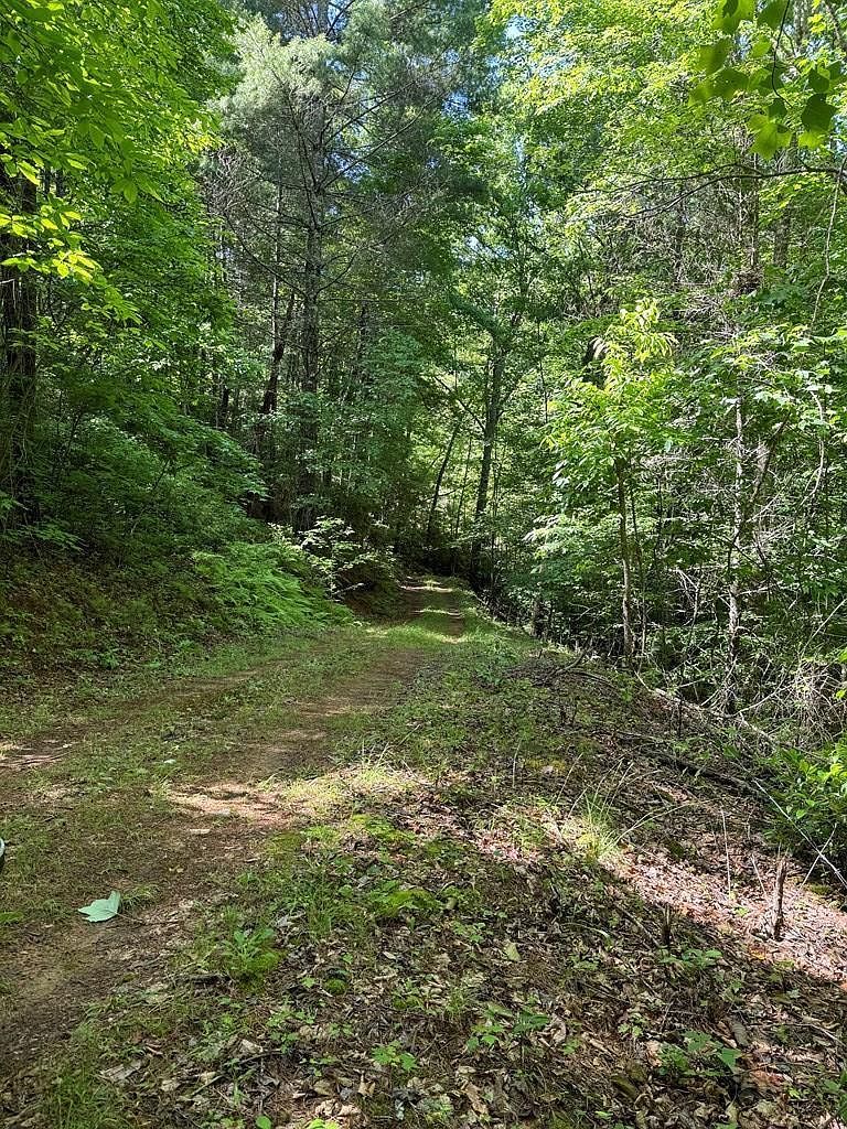 0 John Taylor Rd Murphy, NC 28906 - Thumbnail 2