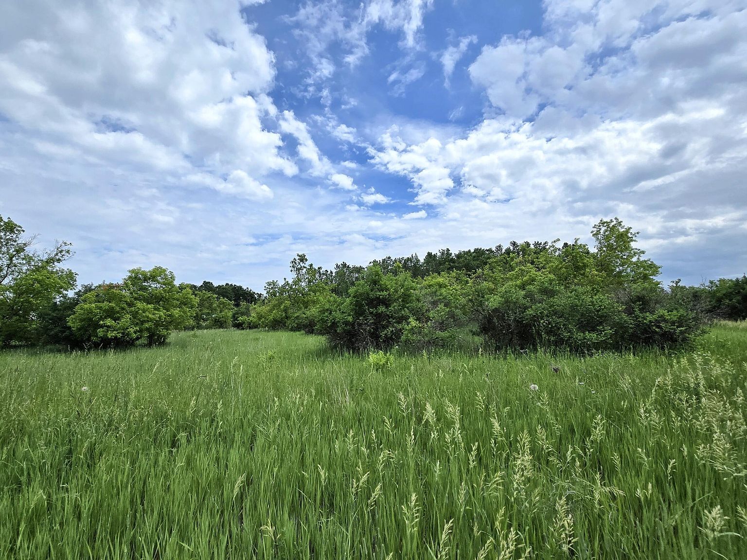 12551 Freel Hwy Millersburg, MI 49759 - Thumbnail 2