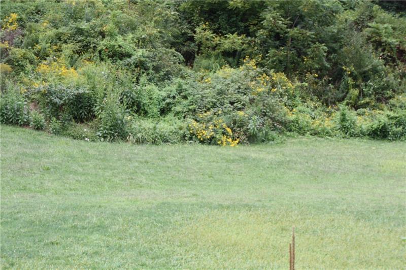 0 Mahwinney Rd - Thumbnail 2