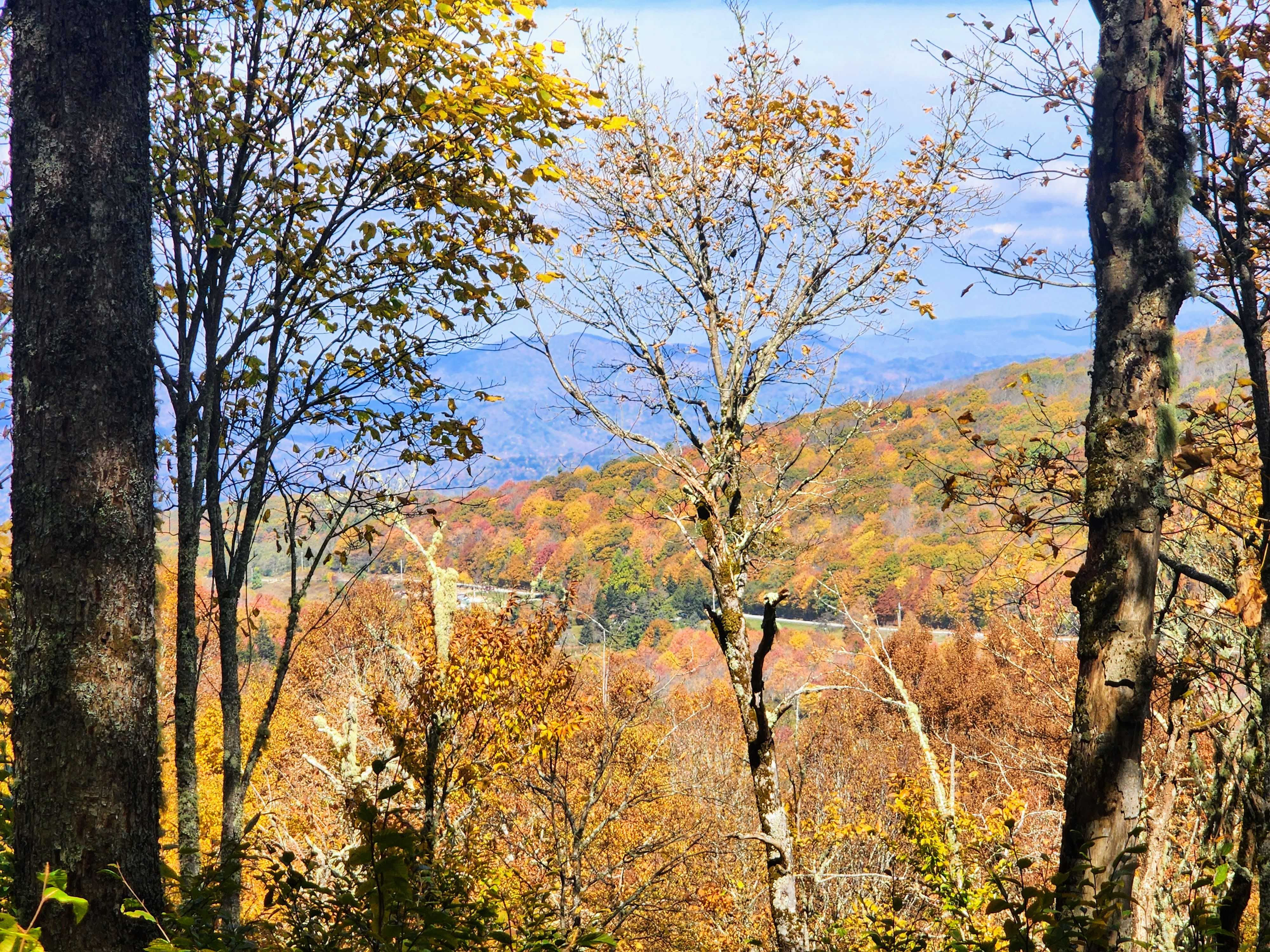 Lot 2 Chappel Farm North, Banner Elk, NC, 28604 | Land/Lot