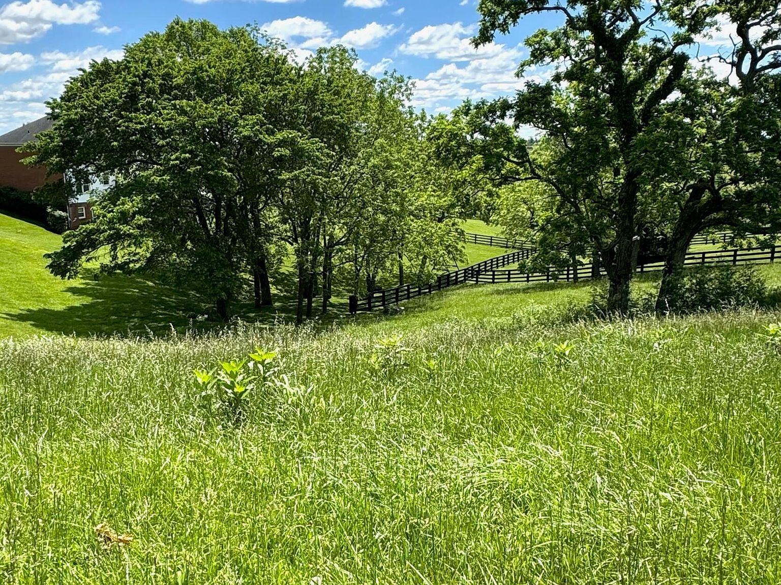 200 Victoria Way Georgetown, KY 40324 - Thumbnail 2