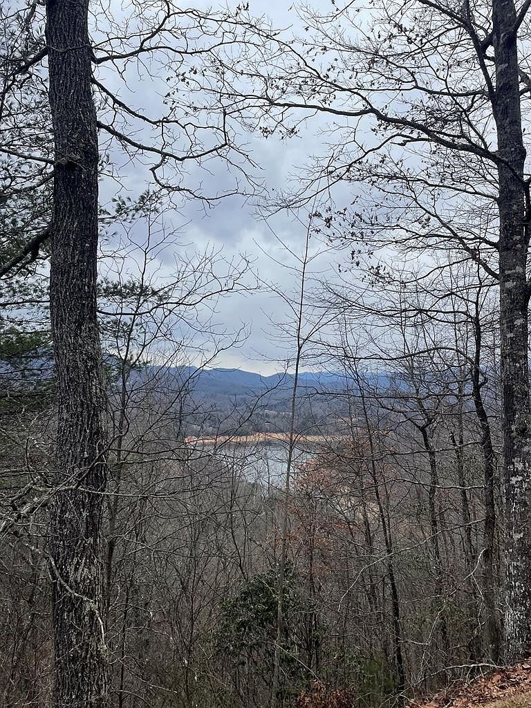 100 Ridge View Dr #11 Bryson City, NC 28713 - Thumbnail 2