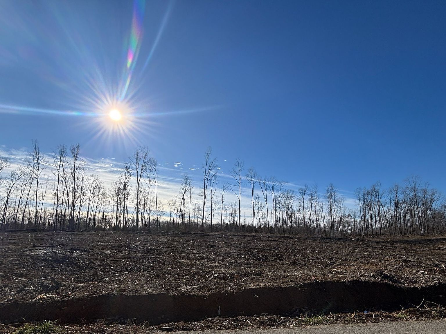 0 Brinkley Rd LOT 5 Wartrace, TN 37183 - Thumbnail 2