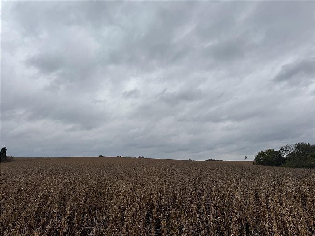 Quartz And Elm St Gallatin, MO 64640 - Thumbnail 2