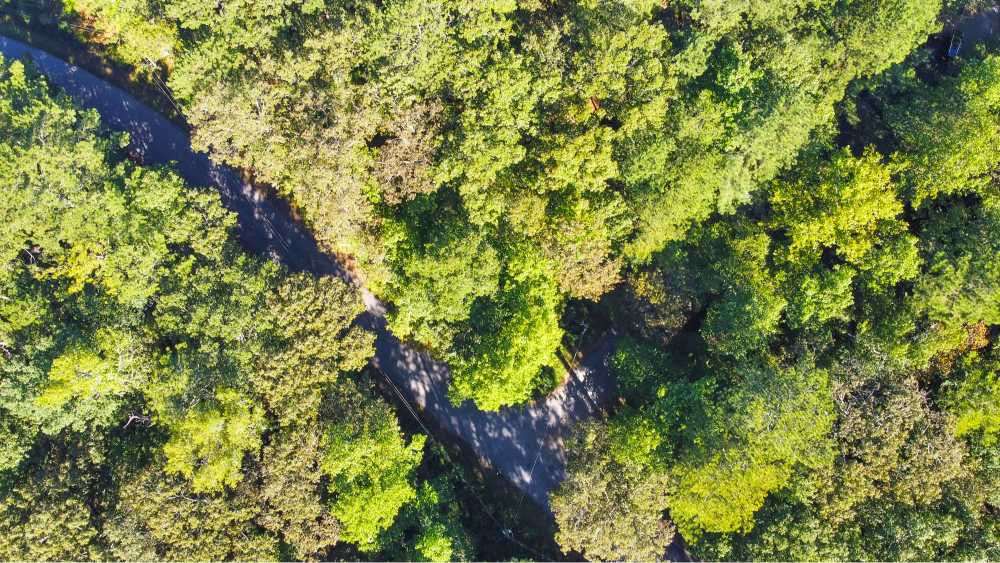 6156 Belle Meade Drive, Villa Rica, Georgia 30180, USA - Thumbnail 2