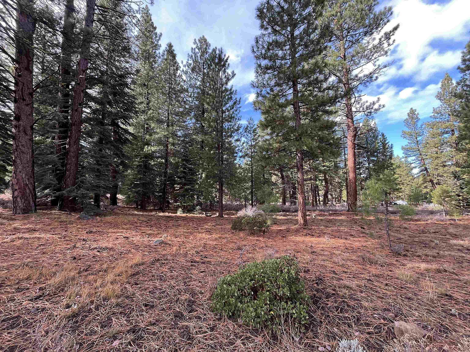 15411 Kent Dr Truckee, CA 96161 - Thumbnail 2