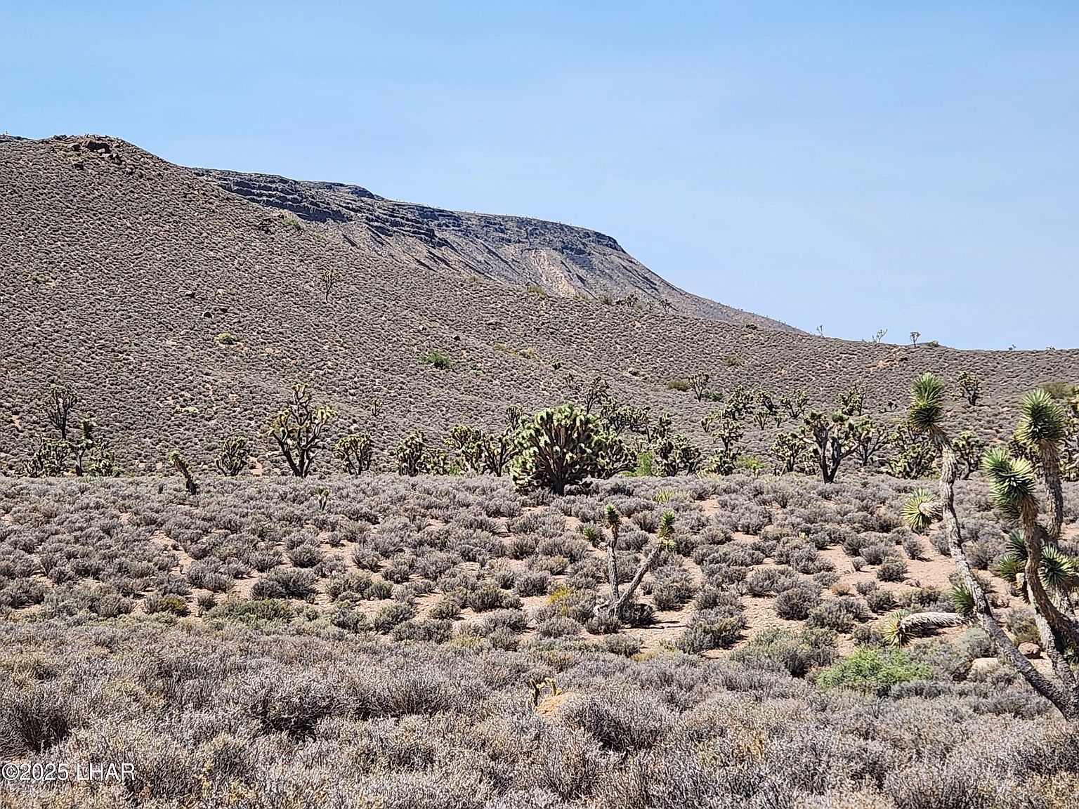 329-02-018 W White Hills Rd Willow Beach, AZ 86445 - Thumbnail 2