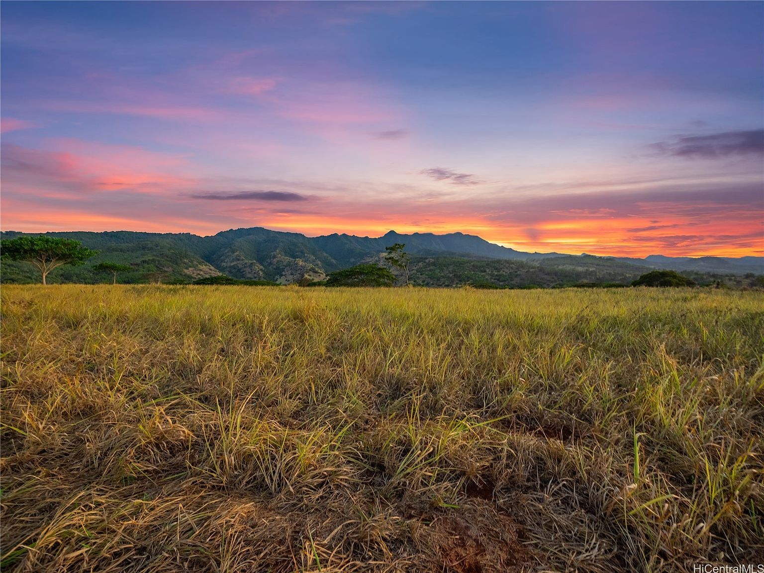 65-283 Kaukonahua Rd Waialua, HI 96791 - Thumbnail 2