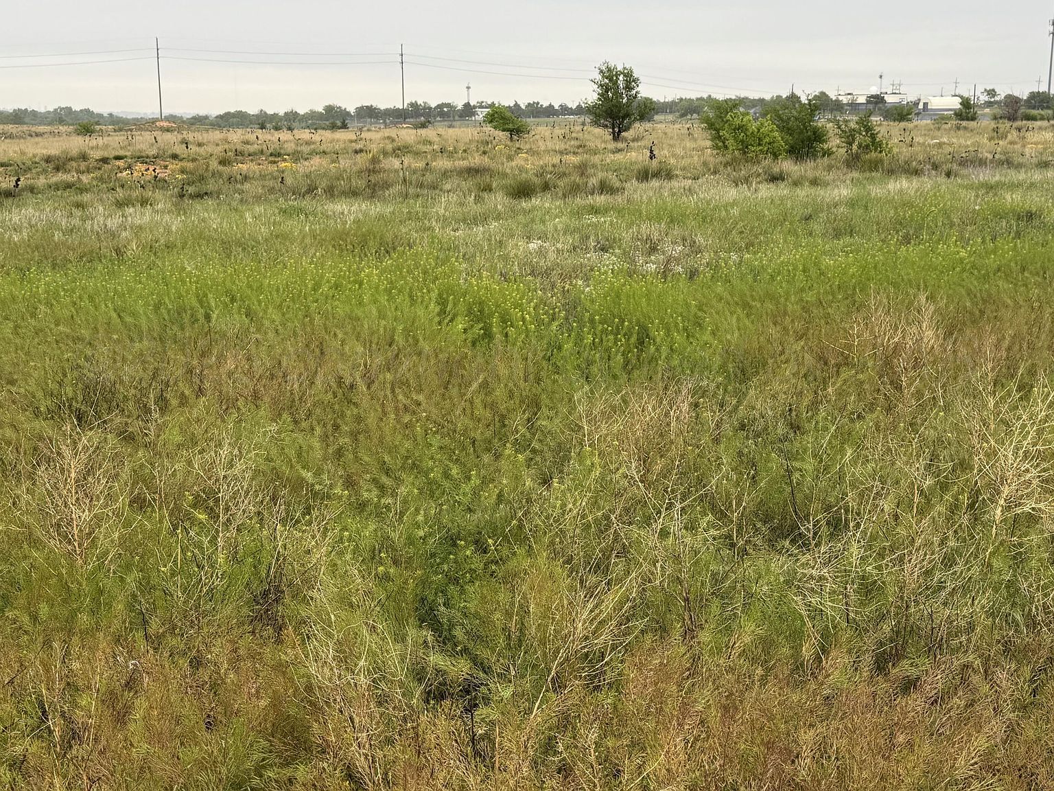 203 NW 16th Ave Amarillo, TX 79107 - Thumbnail 2