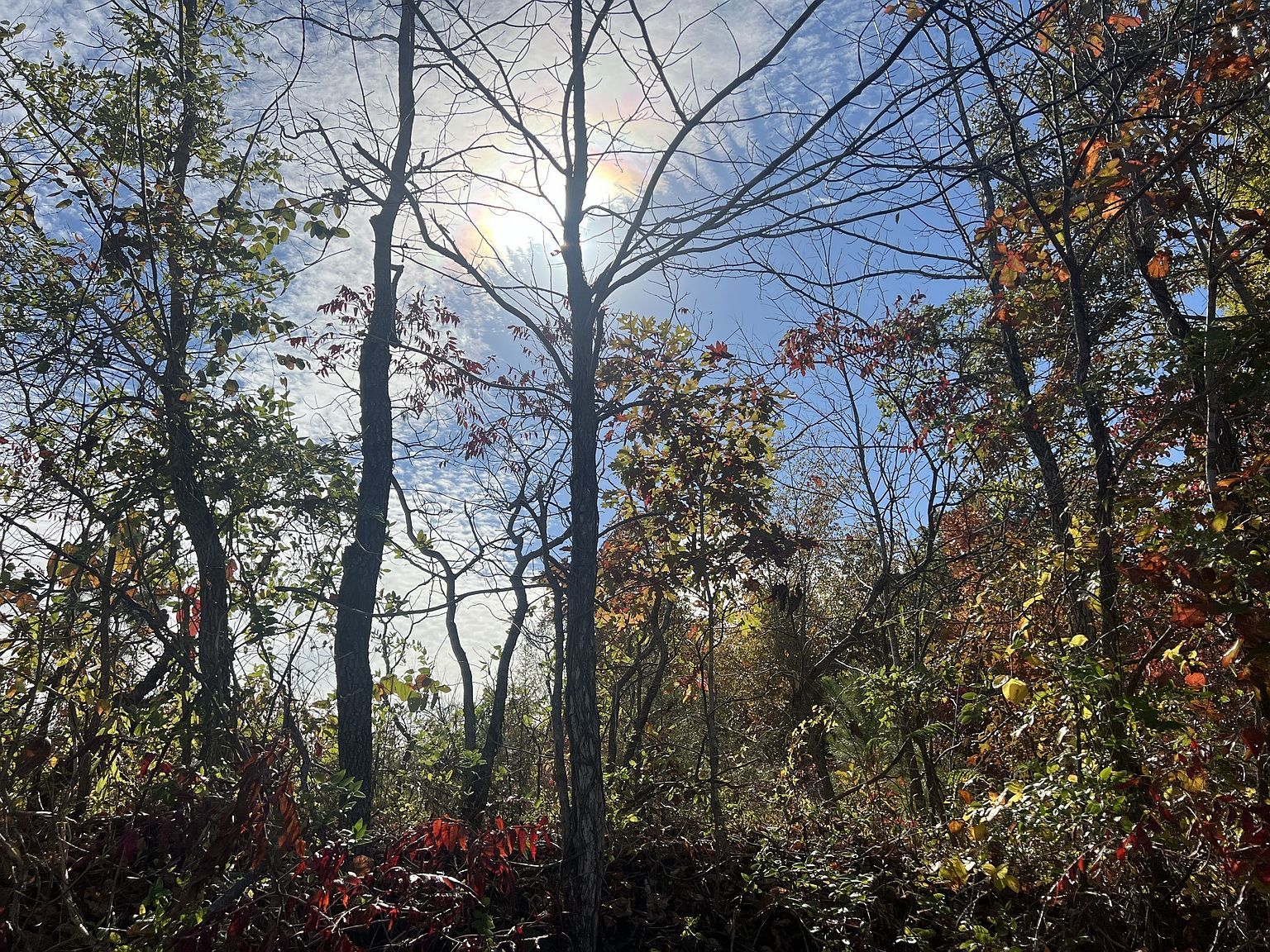 4 Clyde Webb Rd Tennessee Ridge, TN 37178 - Thumbnail 2