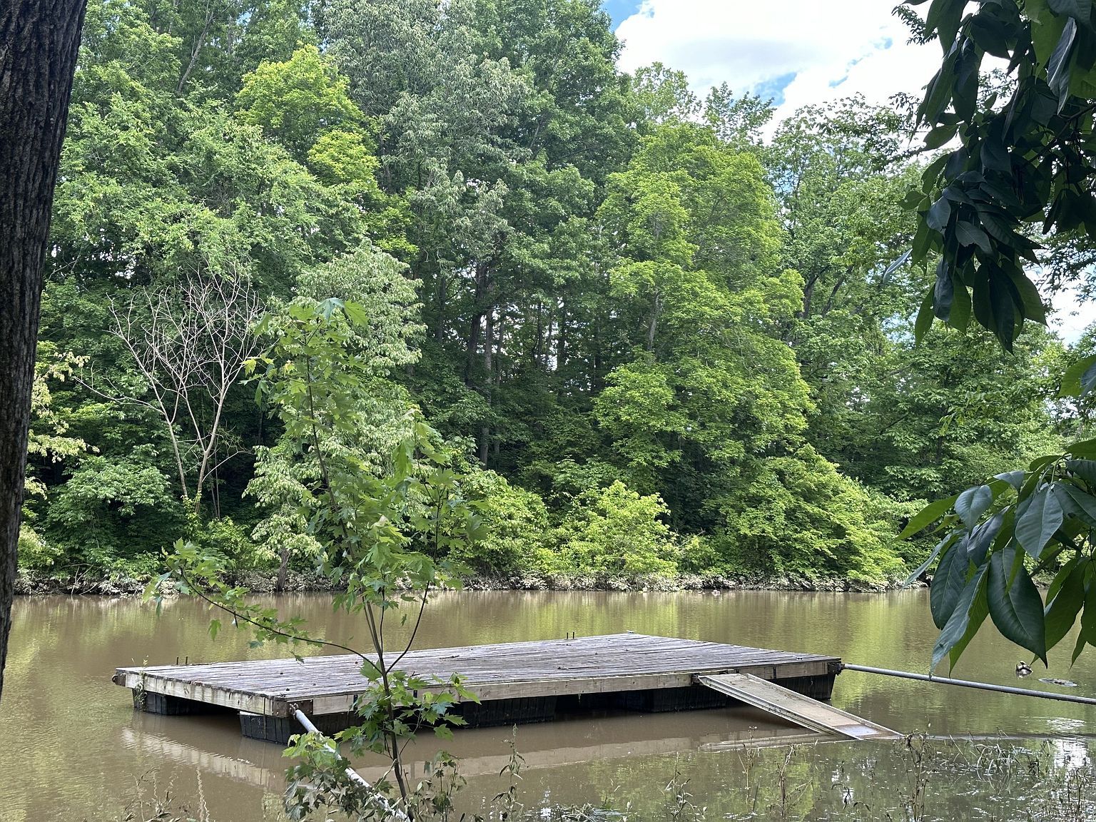 1341 Chapmansboro Rd Chapmansboro, TN 37035 - Thumbnail 2