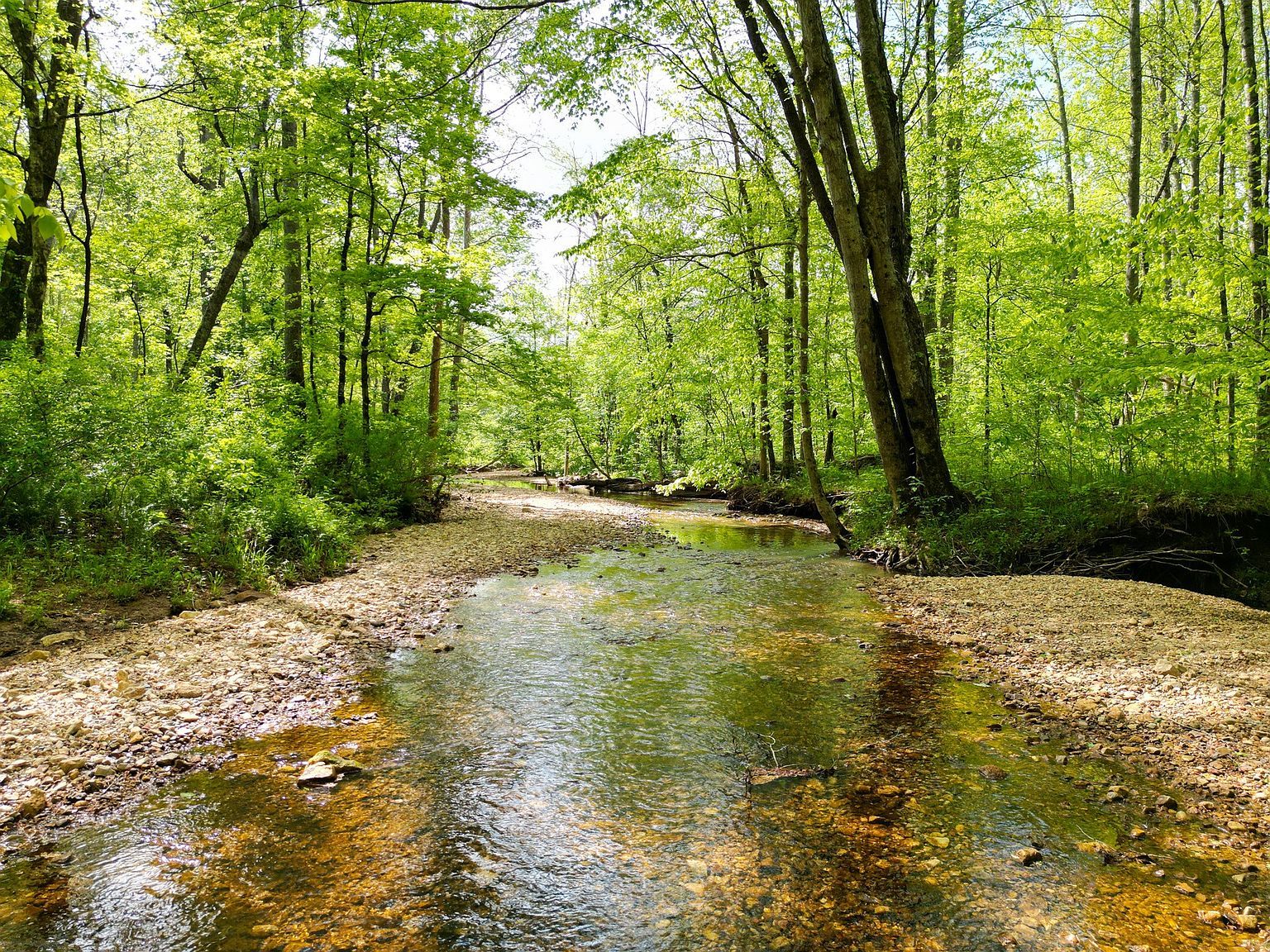 2 Cave Branch Rd Dickson, TN 37055 - Thumbnail 2