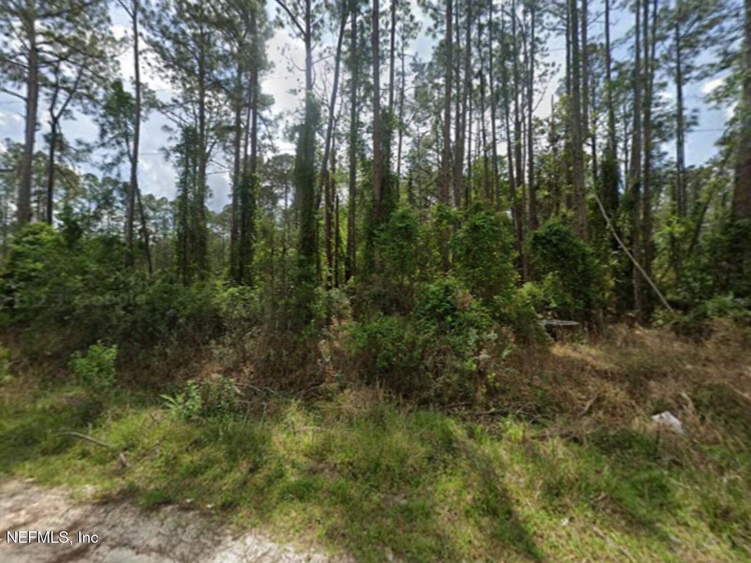 105 Pine Cone Dr Georgetown, FL 32139 - Thumbnail 2