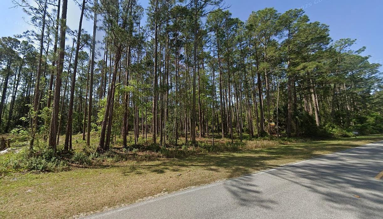 243 & 245 Georgetown Denver Rd Georgetown, FL 32139 - Thumbnail 2