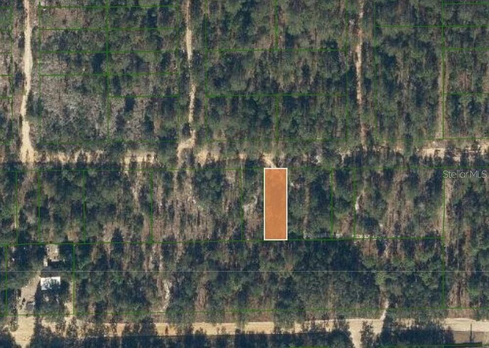 0 Unassigned Rd LOT 60 Interlachen, FL 32148 - Thumbnail 2