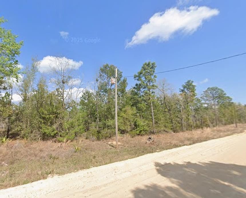 0 Martindale Ave Interlachen, FL 32148 - Thumbnail 2