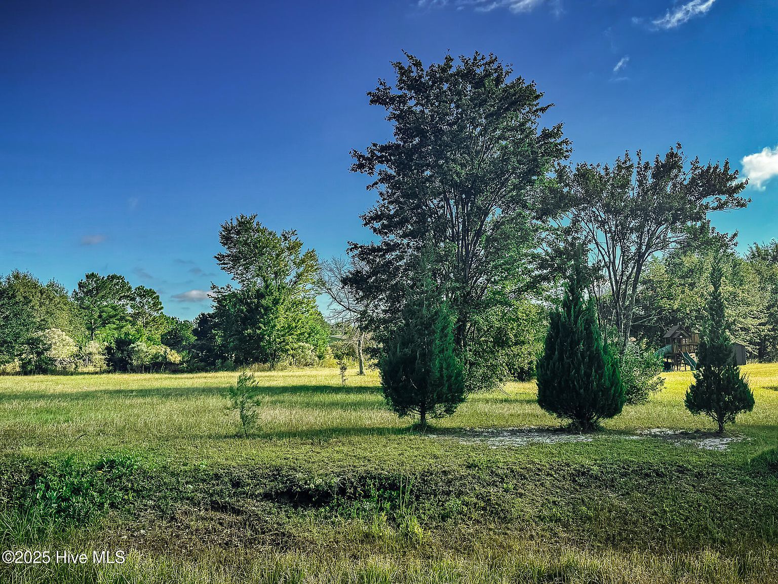 3975 Sourwood Ct NE Leland, NC 28451 - Thumbnail 2