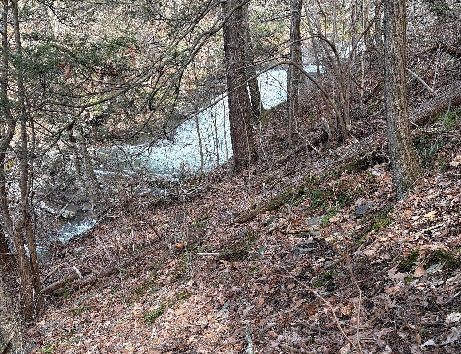 Main Rd Hunlock Creek, PA 18621  | Land/Lot