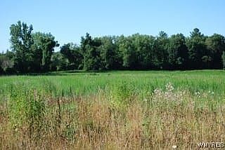 11154 Stage Rd Akron, NY 14001  | Land/Lot
