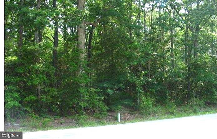 8905 Romancoke Rd Stevensville, MD 21666  | Land/Lot