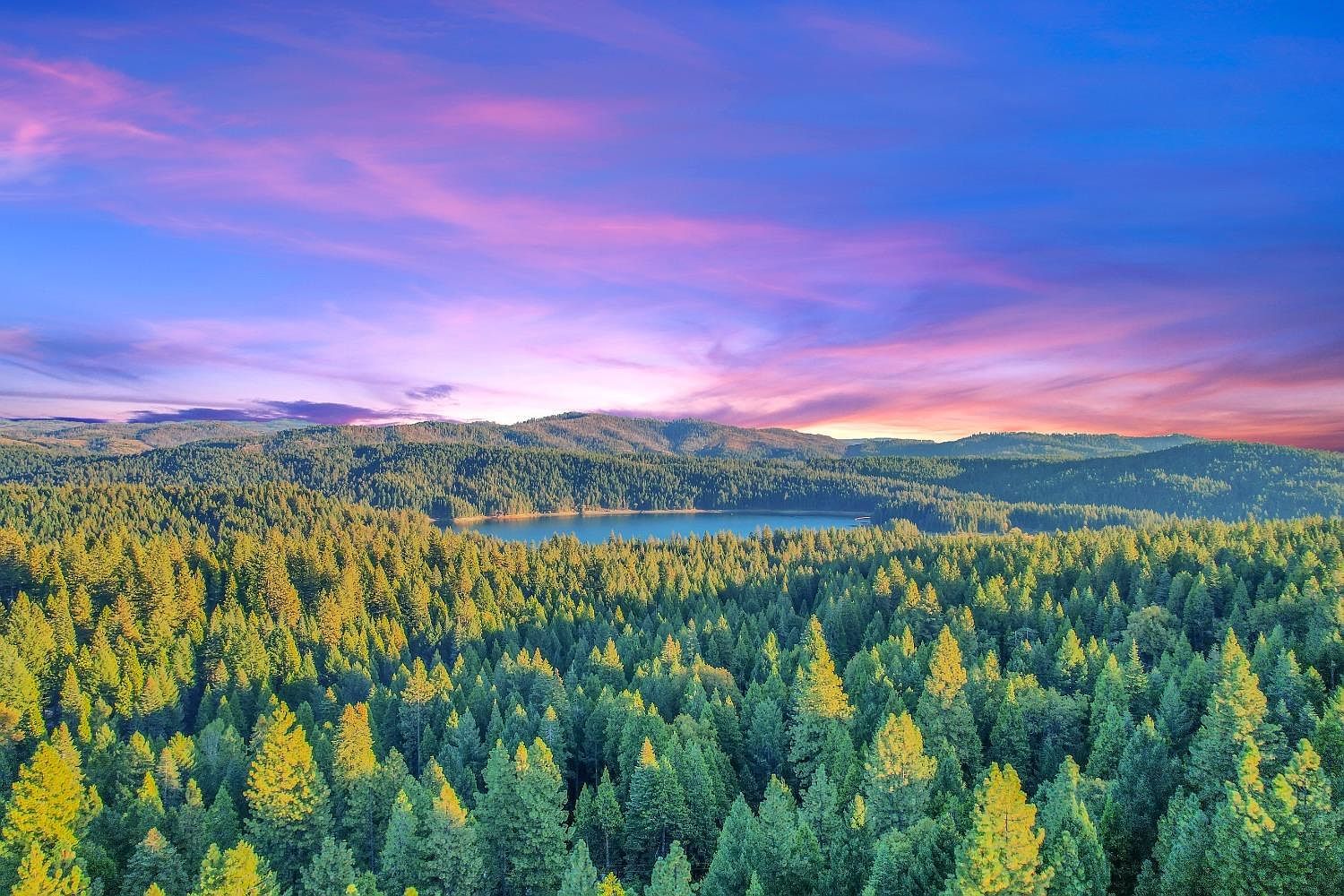 4440 Sly Park Rd Pollock Pines, CA 95726 - Thumbnail 2