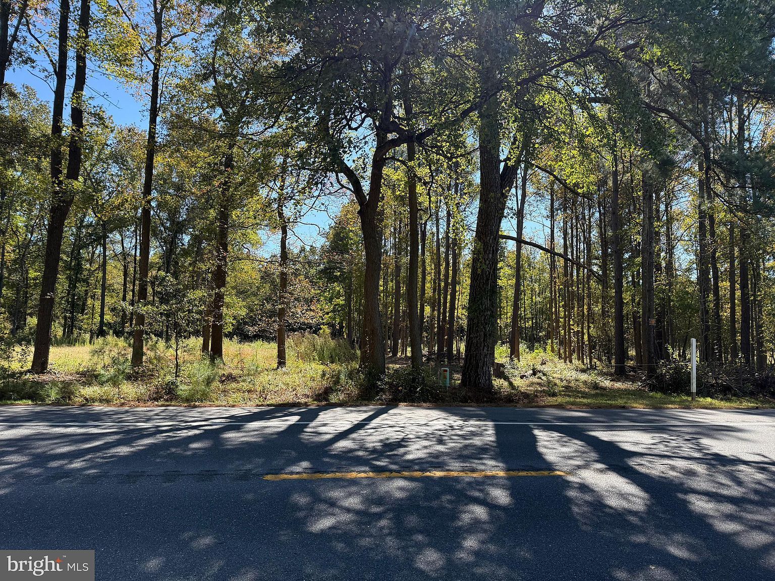 0 Laurel Rd Millsboro, DE 19966 - Thumbnail 2