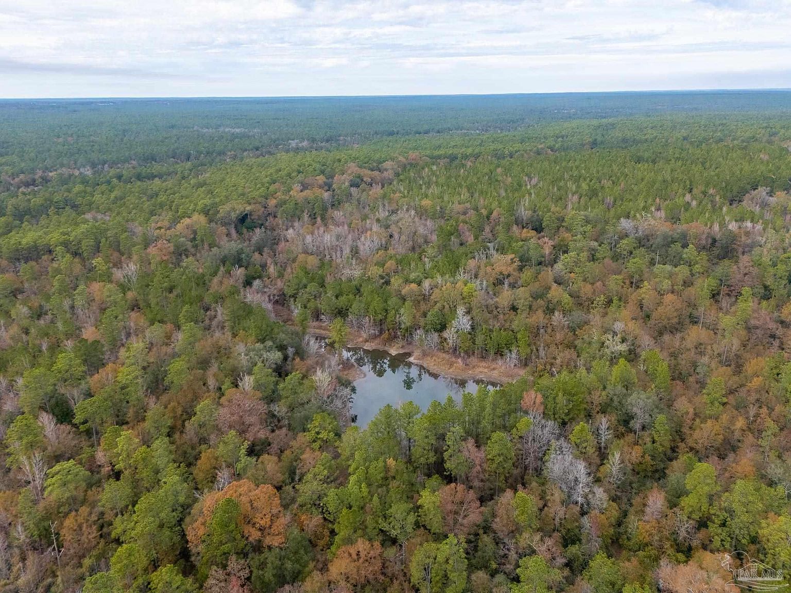 0 Sherman Kennedy Rd N Baker, FL 32531 - Thumbnail 2