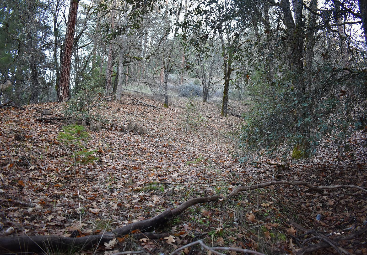 3221 Goose Ranch Rd Lewiston, CA 96052 - Thumbnail 2