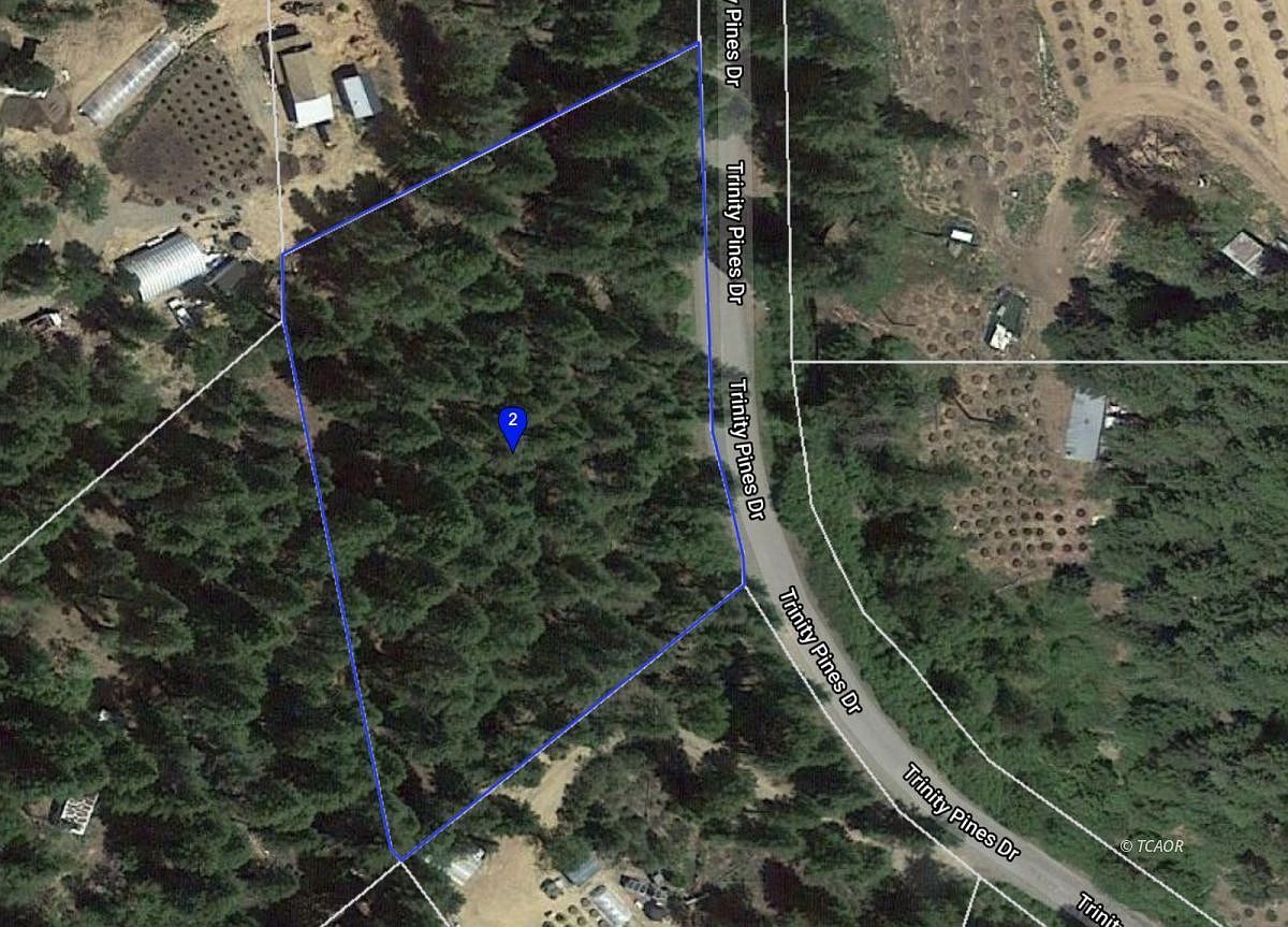 851 Trinity Pines Dr Hayfork, CA 96041 - Thumbnail 2