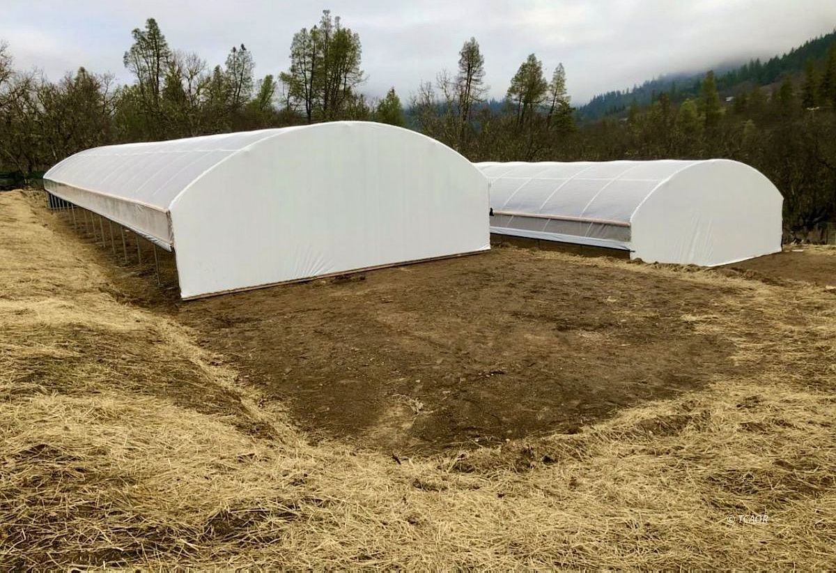 297 Frog Pond Ln Hayfork, CA 96041 - Thumbnail 2