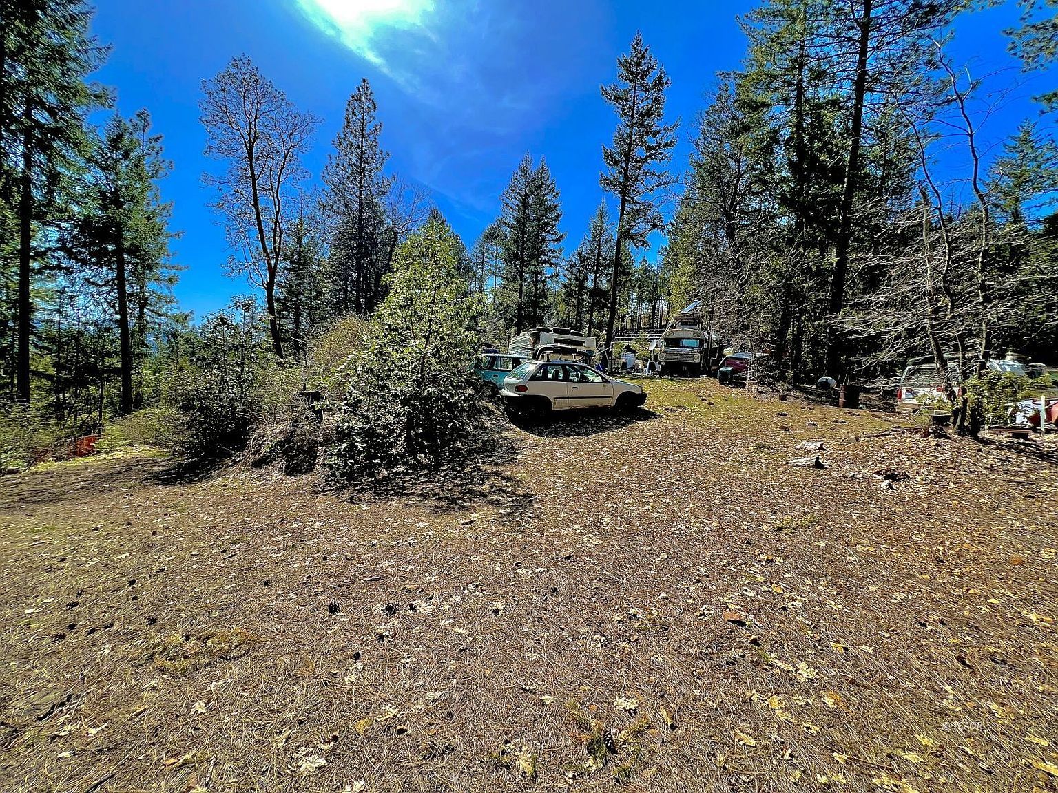 421 Redbud Ct Hayfork, CA 96041 - Thumbnail 2