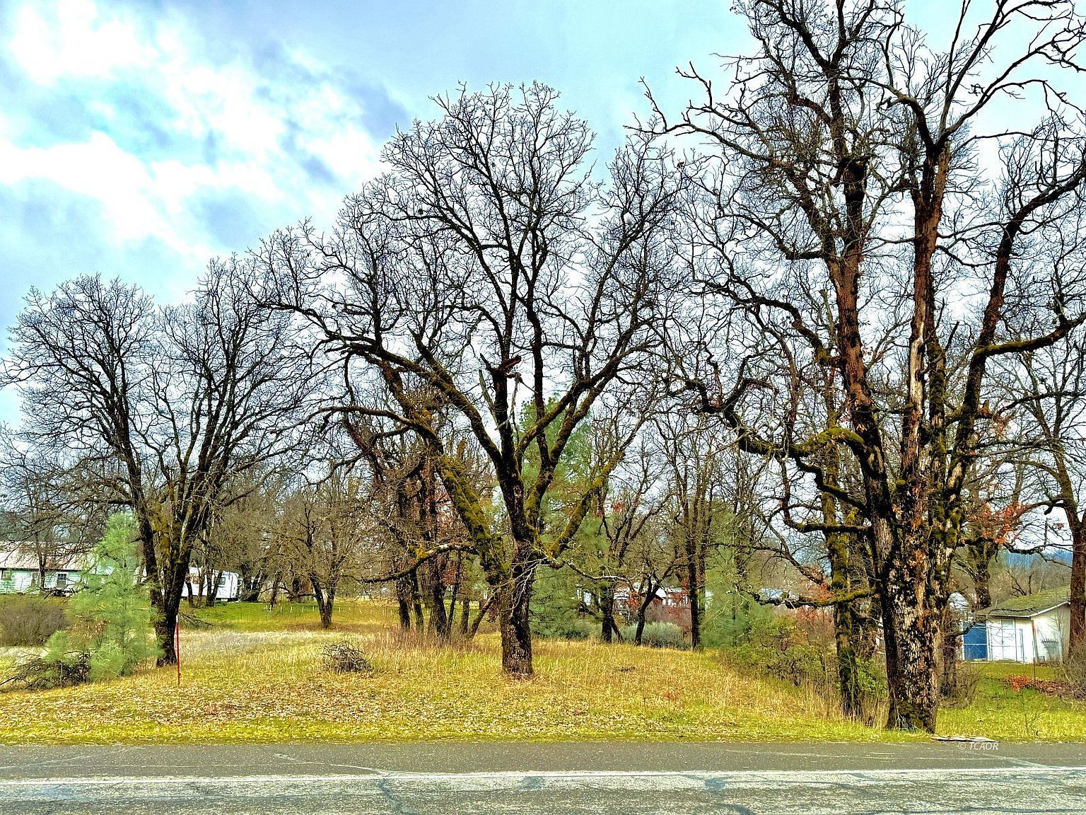 7490 State Highway 3 Hayfork, CA 96041 - Thumbnail 2