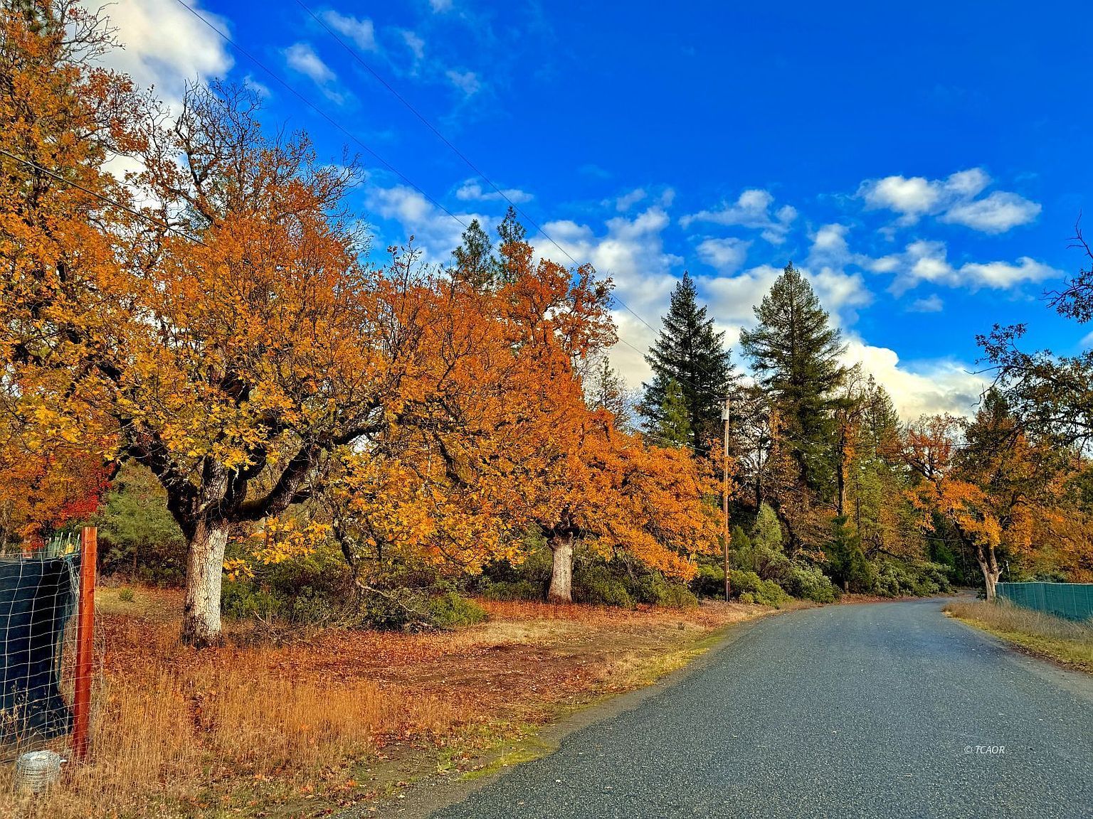 231 Oliva Dr Hayfork, CA 96041 - Thumbnail 2