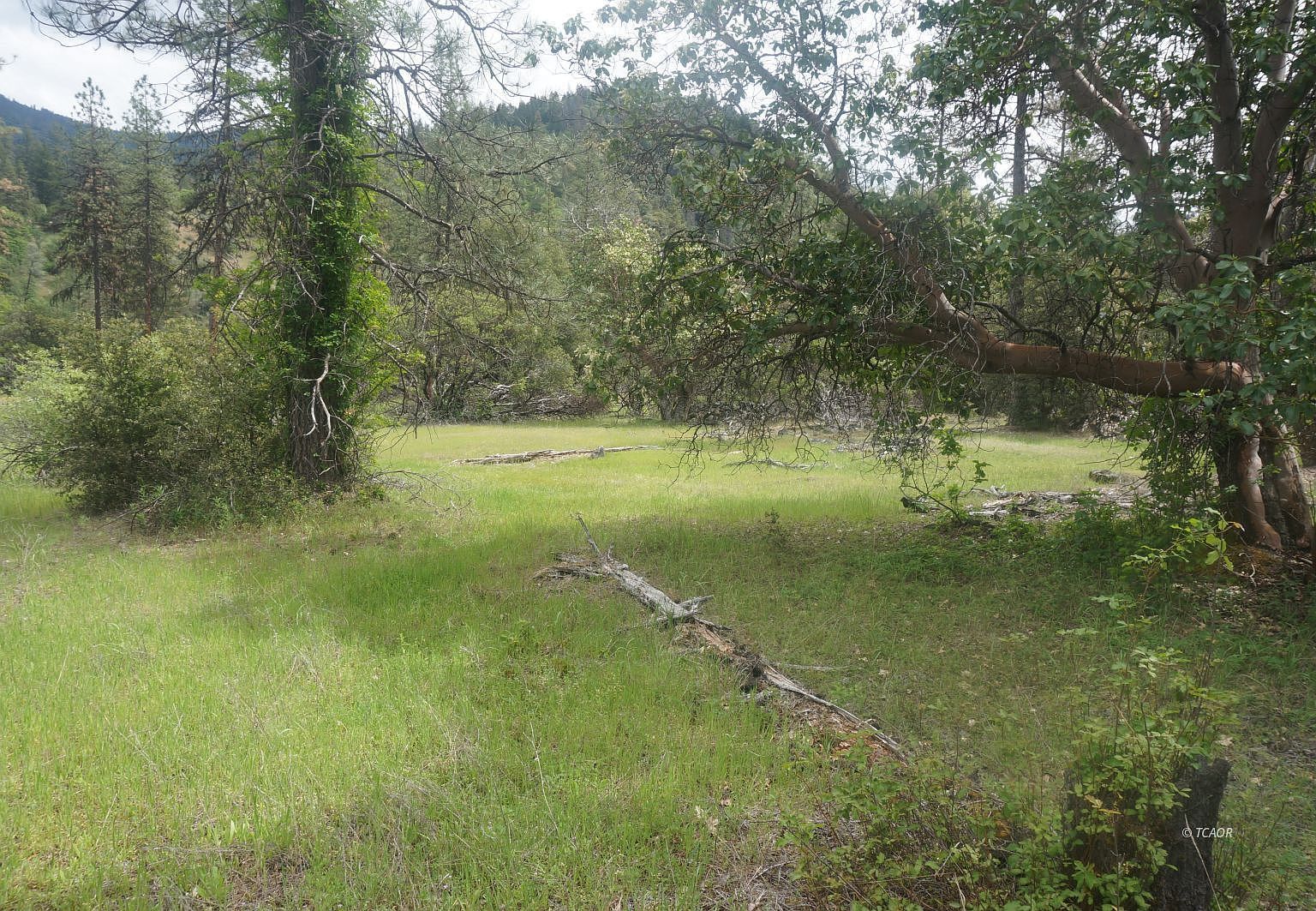 6269 Dutch Creek Rd Junction City, CA 96048 - Thumbnail 2