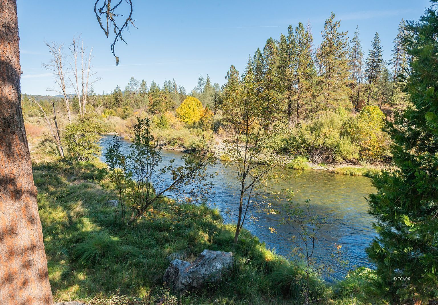 6686 Browns Mountain Rd Lewiston, CA 96052 - Thumbnail 2