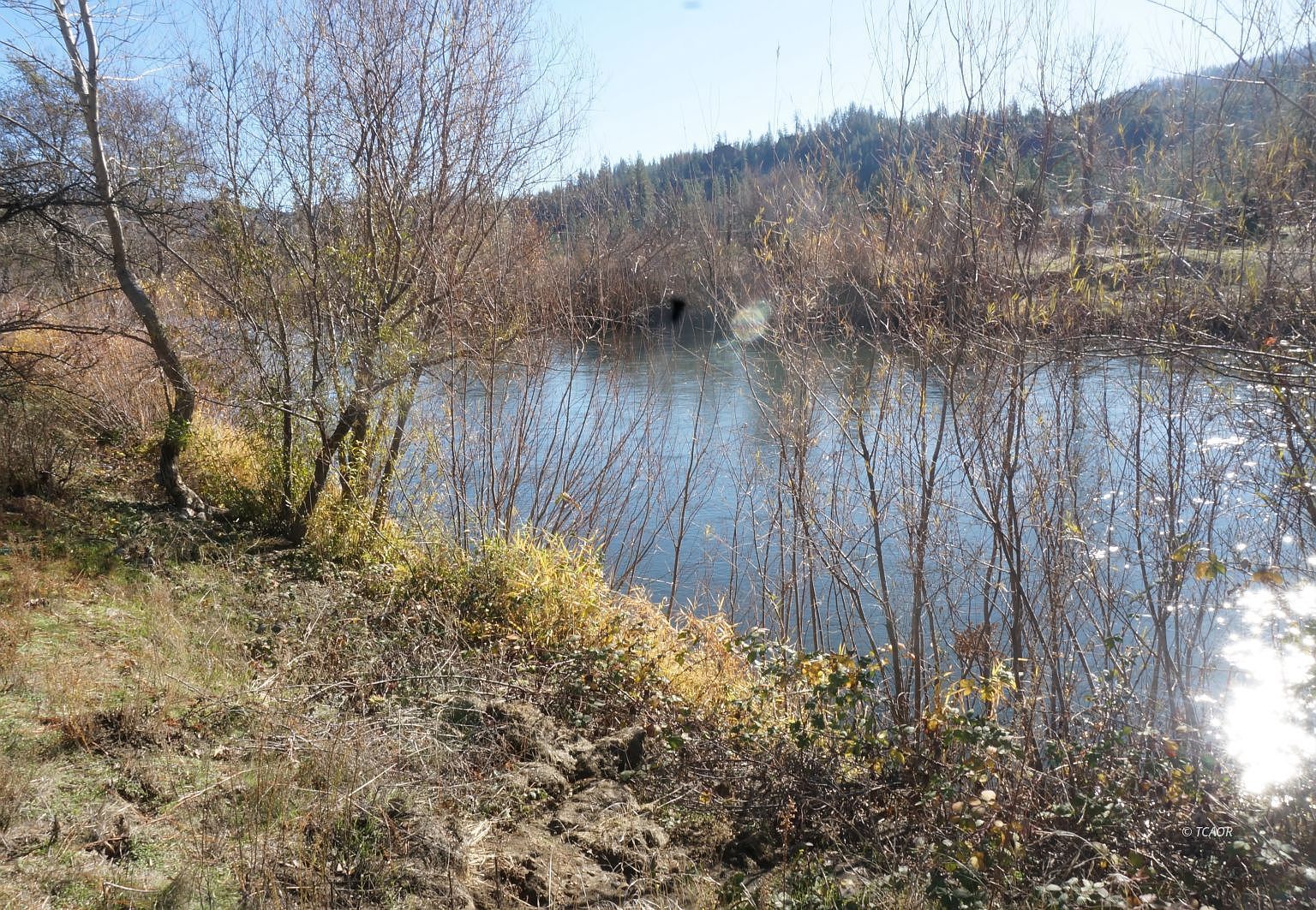 50 Acorn Ln Junction City, CA 96048 - Thumbnail 2