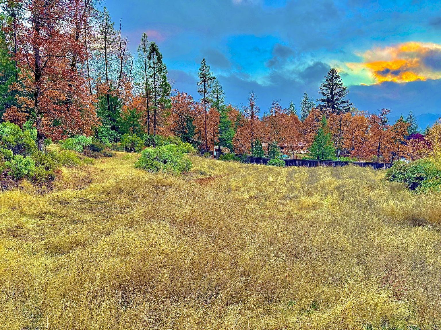 310 Reservoir Rd Hayfork, CA 96041 - Thumbnail 2