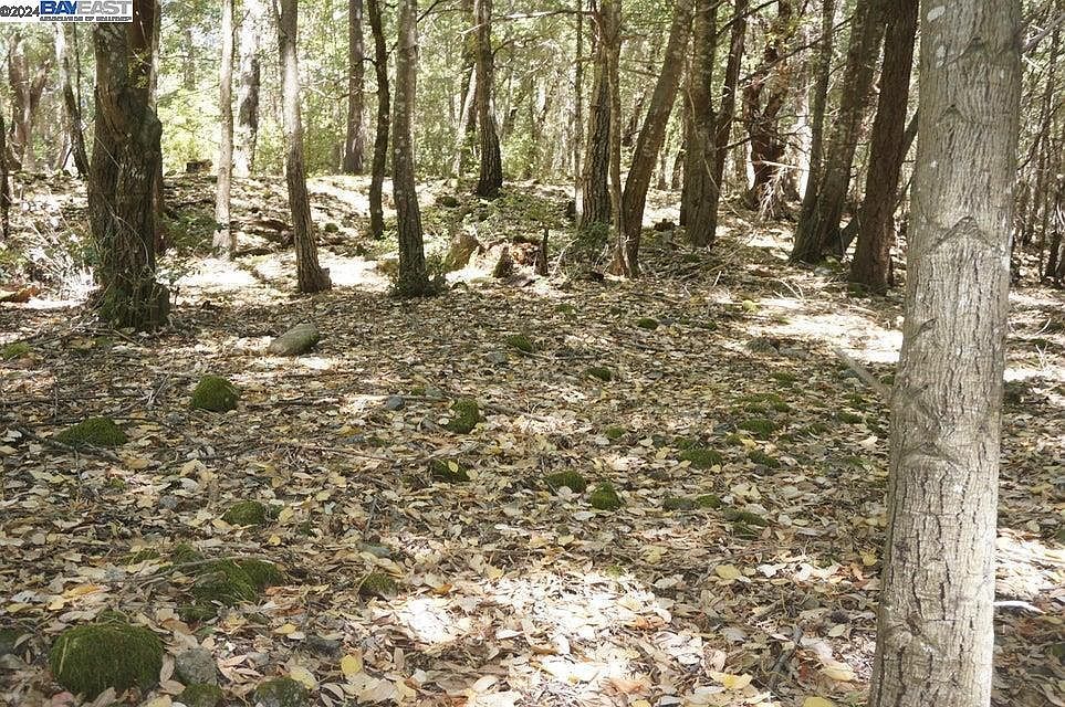 800 Suzy Q Rd Salyer, CA 95563 - Thumbnail 2