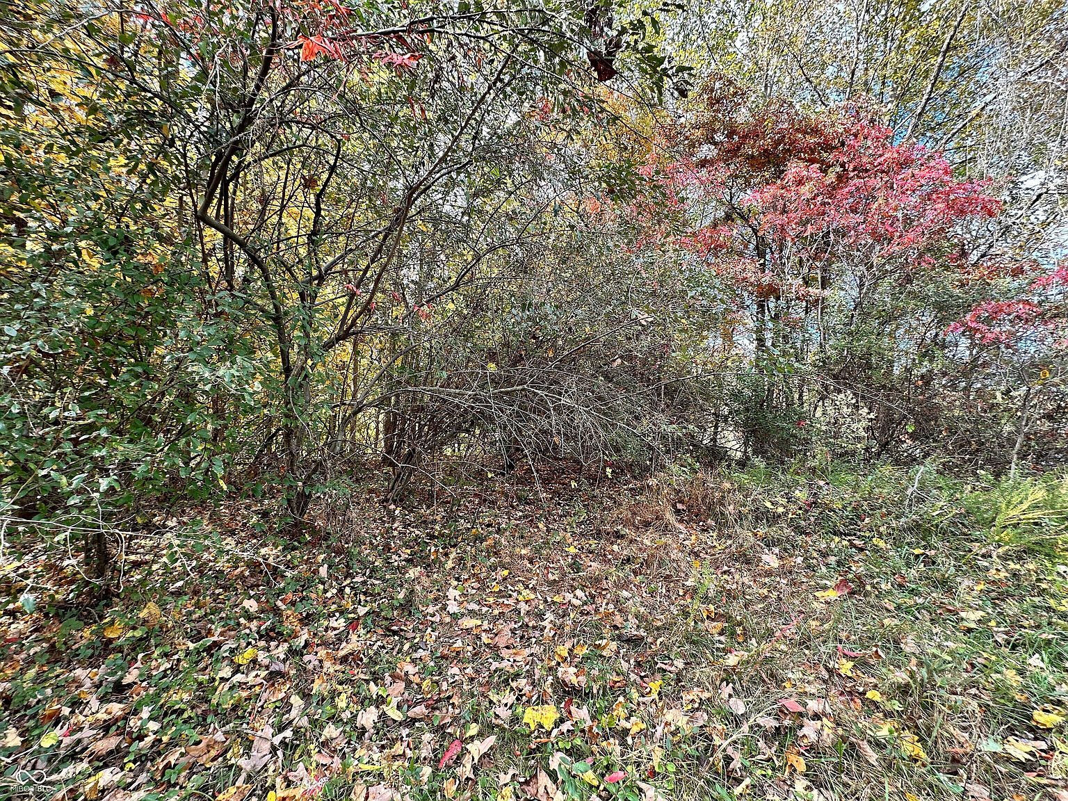 0 N Foxcliff Dr E Martinsville, IN 46151 - Thumbnail 2