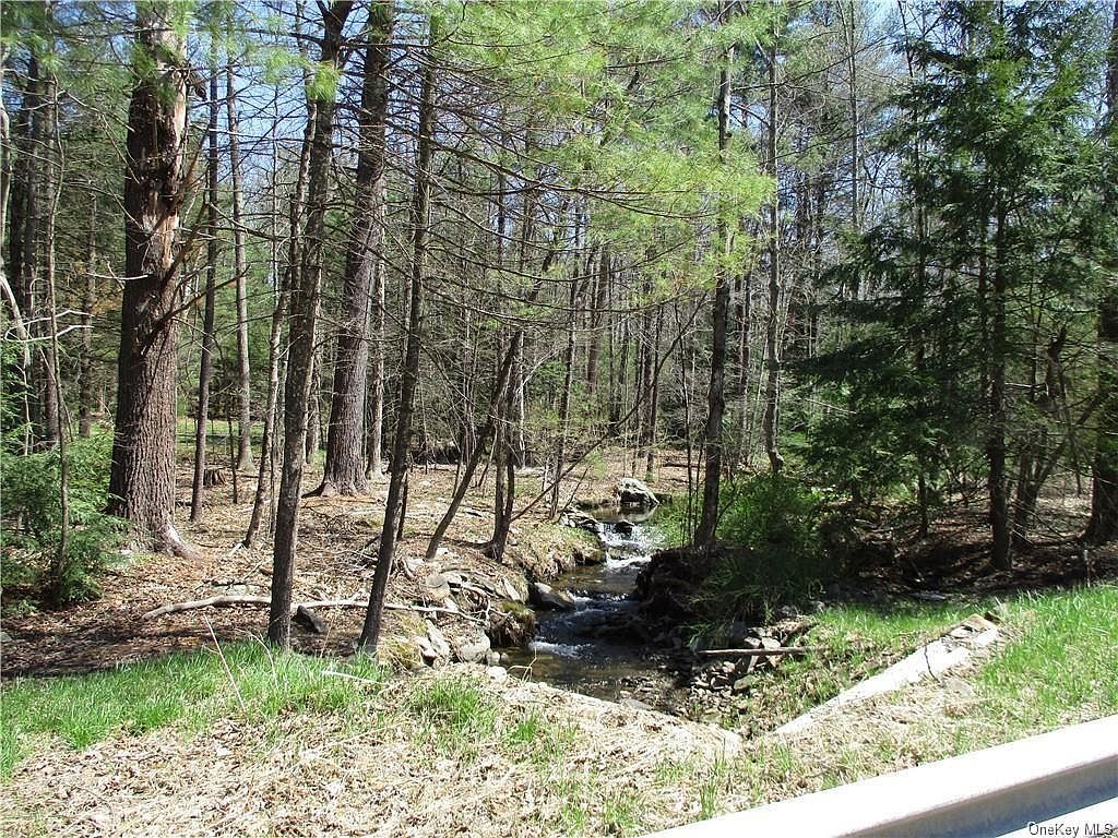742 Peenpack Trl Sparrowbush, NY 12780 - Thumbnail 2