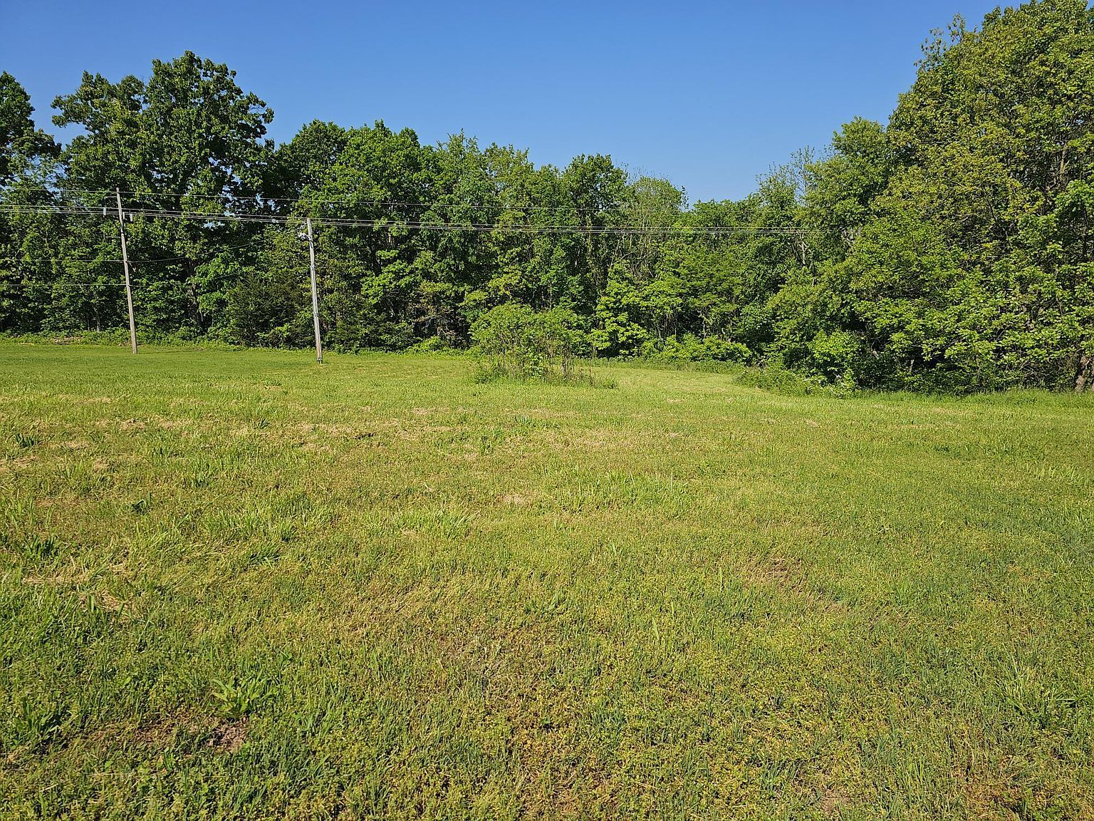 LOT 7 Fox Haven Dr Mount Vernon, MO 65712 - Thumbnail 2